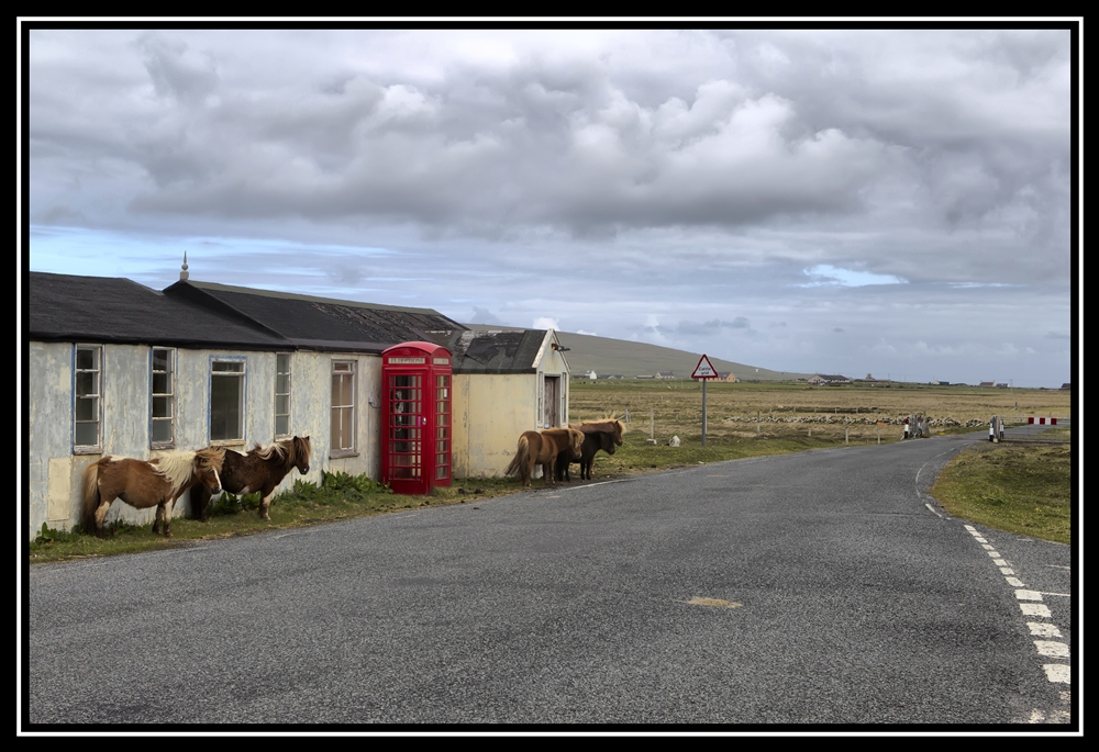 Scotland 2012   1412   Y   ygi 3576 s